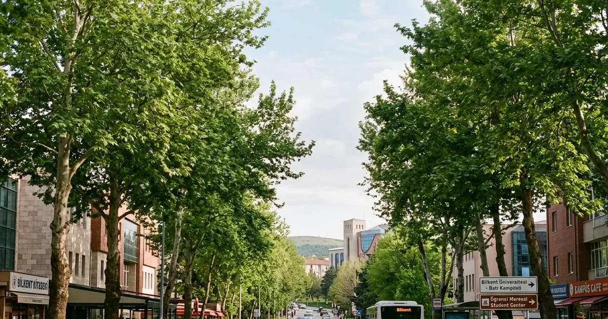 Bilkent Üniversitesi yakınındaki yeşillikli bir üniversite semti sokağı